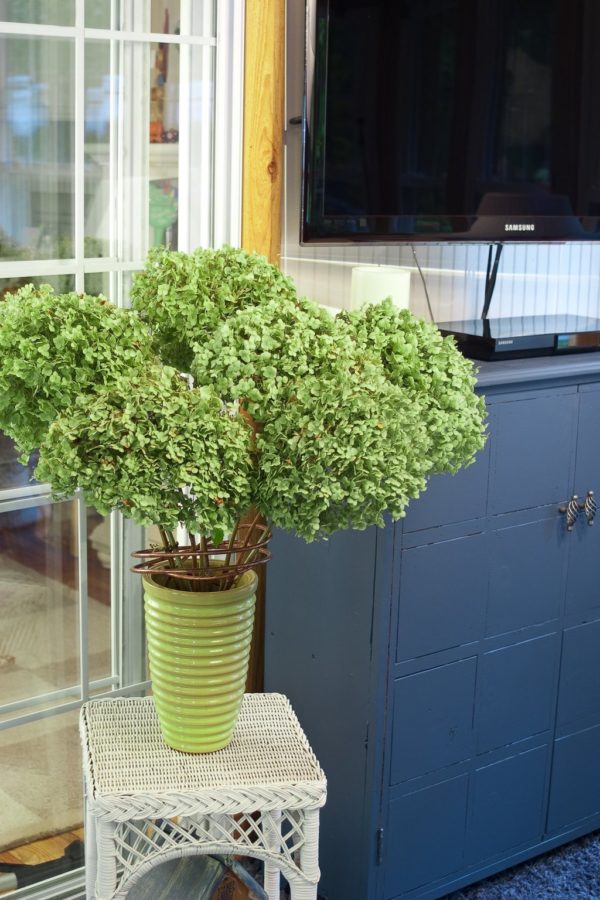 Smooth Incrediball® hydrangea cut, aged jade green flowers in a vase decorate a home