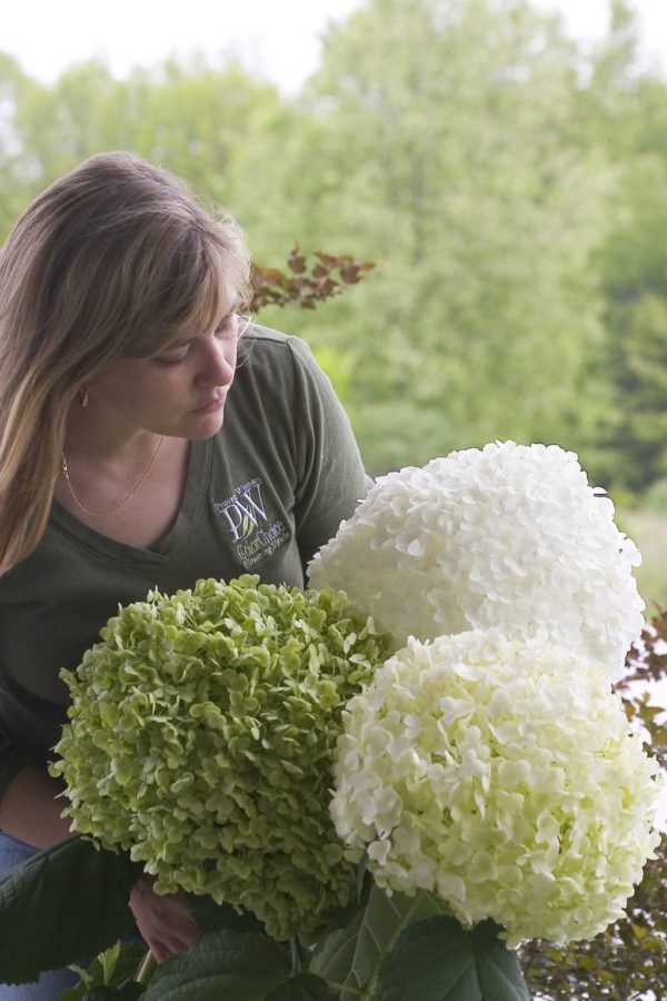 Smooth Incrediball® hydrangea bouquet of white and jade green flowers
