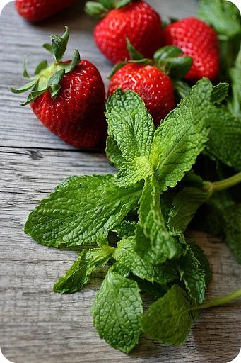 Mentha piperita ‘Strawberry’ foliage has a fresh, strawberry scent.